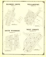 Blooming Grove, Williamsport, South Woodbury, West Liberty, Morrow County 1901